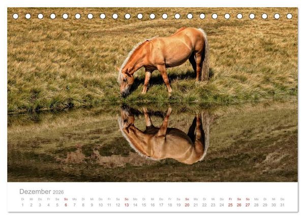 Produktbild: Pferde - Hobby und Leidenschaft (Tischkalender 2026 DIN A5 quer), CALVENDO Monatskalender