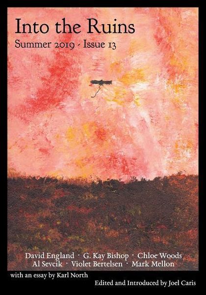 Produktbild: Into the Ruins: Summer 2019 (Issue 13)