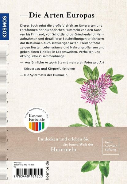 Produktbild: Der KOSMOS Hummelf&uuml;hrer