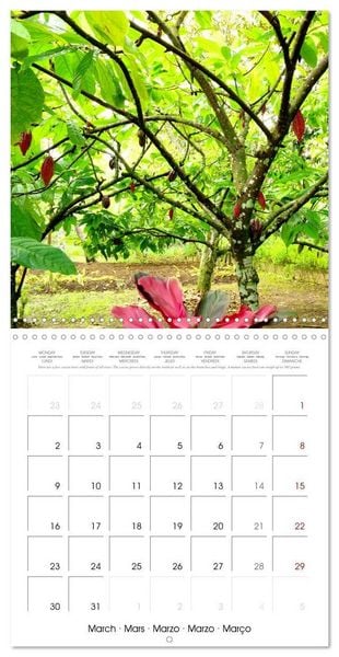 Produktbild: Travel around Java (Wall Calendar 2026 12 &times; 12 Inch) CALVENDO 12 Month Wall Calendar