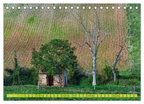 Produktbild: Solitude verdoyante (Calendrier de bureau 2026 DIN A5 vertical), CALVENDO calendrier mensuel