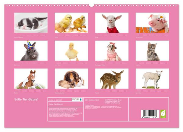 Produktbild: S&uuml;&szlig;e Tier-Babys! (hochwertiger Premium Wandkalender 2026 DIN A2 quer), Kunstdruck in Hochglanz