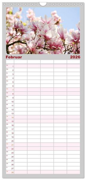Produktbild: Familienplaner 2026 - Magnolien Ein Bl&uuml;tenrausch mit 5 Spalten (Wandkalender, 21 x 45 cm) CALVENDO