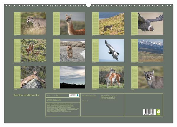 Produktbild: Wildlife S&uuml;damerika (Wandkalender 2026 DIN A2 quer), CALVENDO Monatskalender