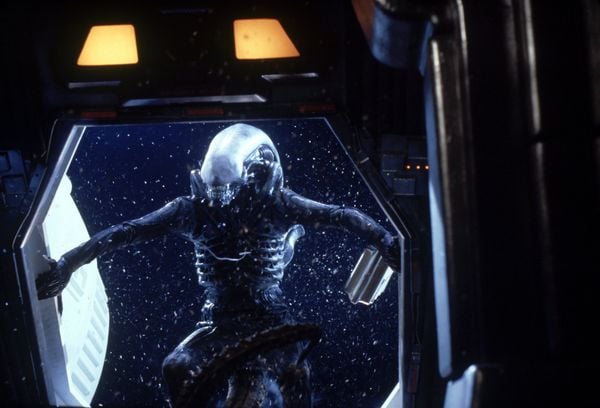 Produktbild: Alien 40th (4K Ultra HD) (+ Blu-ray 2D)