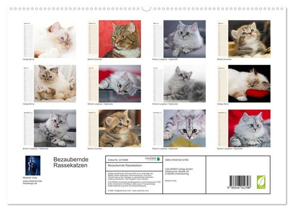 Produktbild: Bezaubernde Rassekatzen (hochwertiger Premium Wandkalender 2026 DIN A2 quer), Kunstdruck in Hochglanz