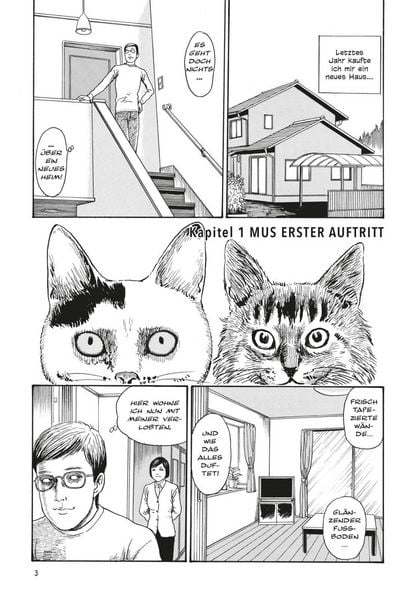 Produktbild: Junji Itos Katzentagebuch