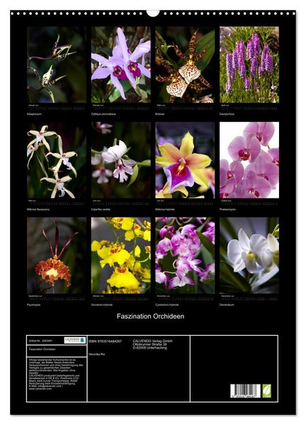 Produktbild: Faszination Orchideen (Wandkalender 2026 DIN A2 hoch), CALVENDO Monatskalender