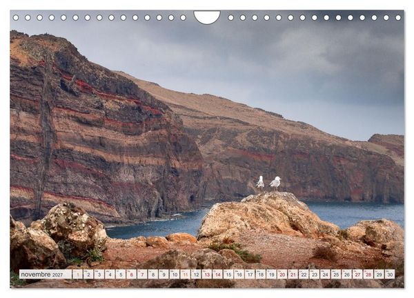 Produktbild: Mad&egrave;re - Paradis dans l&rsquo;Atlantique (Calendrier mural 2027 DIN A4 vertical), CALVENDO calendrier mensuel