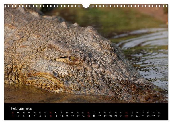 Produktbild: Naturerlebnis Botswana (Wandkalender 2026 DIN A3 quer), CALVENDO Monatskalender