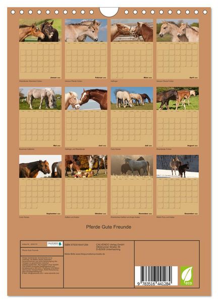 Produktbild: Pferde Gute Freunde (Wandkalender 2026 DIN A4 hoch), CALVENDO Monatskalender