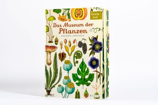 Produktbild: Das Museum der Pflanzen