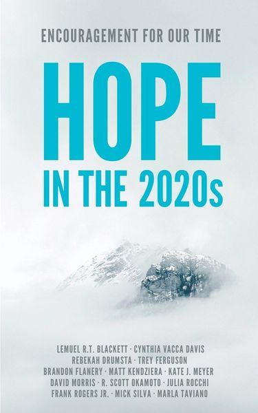 Produktbild: Hope in the 2020s