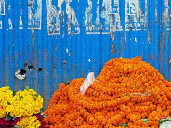 Produktbild: CALVENDO Puzzle Blaue Wand auf dem Blumenmarkt | 1000 Teile Lege-Gr&ouml;&szlig;e 64x48cm Foto-Puzzle f&uuml;r gl&uuml;ckliche Stunden