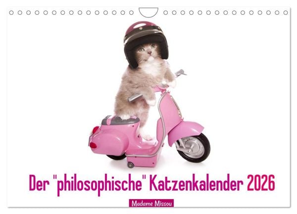 Der 'philosophische' Katzenkalender 2026 (Wandkalender 2026 DIN A4 quer), CALVENDO Monatskalender