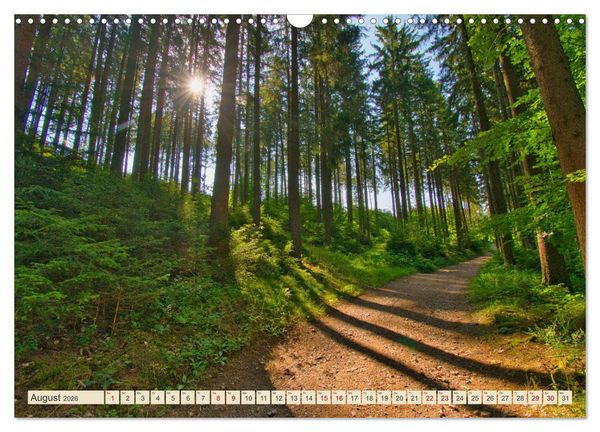 Produktbild: Landkreis Emmendingen - Streifz&uuml;ge durch den S&uuml;dwesten (Wandkalender 2026 DIN A3 quer), CALVENDO Monatskalender