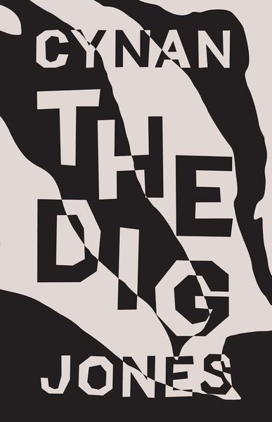 Produktbild: The Dig