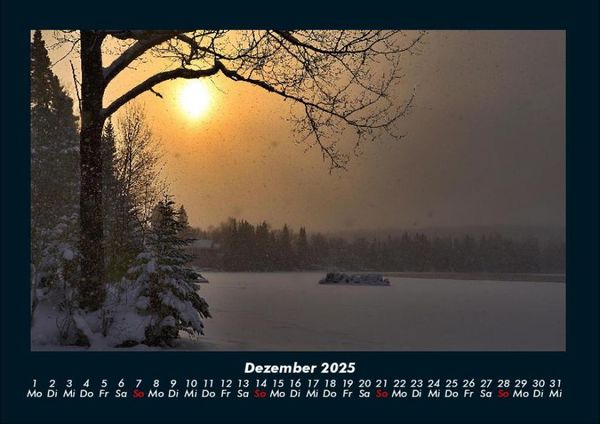Produktbild: B&auml;ume 2025 Fotokalender DIN A4
