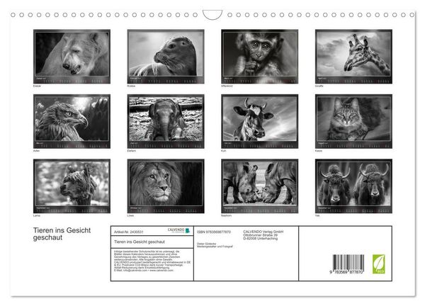 Produktbild: Tieren ins Gesicht geschaut (Wandkalender 2027 DIN A3 quer), CALVENDO Monatskalender