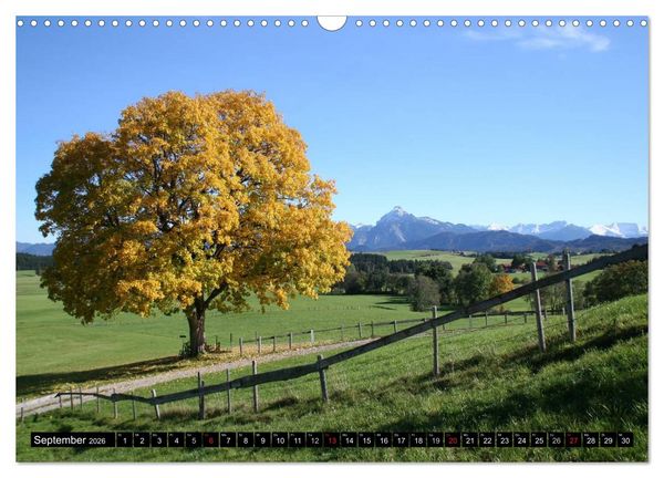 Produktbild: Ein Jahr im Allg&auml;u (Wandkalender 2026 DIN A3 quer), CALVENDO Monatskalender