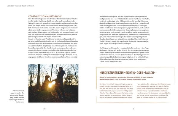 Produktbild: Leinen los! Freilauftraining f&uuml;r den Hund
