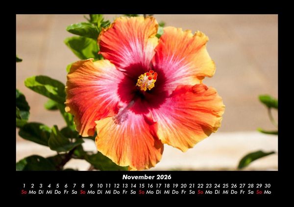 Produktbild: Blumentraum 2026 Fotokalender DIN A3