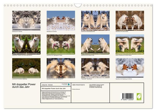 Produktbild: Mit doppelter Power durch das Jahr (Wandkalender 2026 DIN A3 quer), CALVENDO Monatskalender