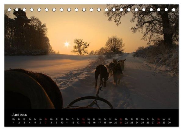 Produktbild: Huskys (Tischkalender 2026 DIN A5 quer), CALVENDO Monatskalender