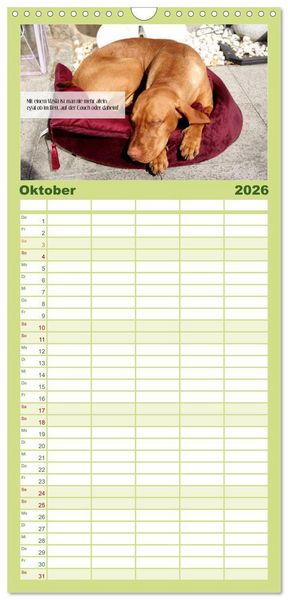 Produktbild: Familienplaner 2026 - Magyar Vizsla - Zauberhafte Kobolde mit 5 Spalten (Wandkalender, 21 x 45 cm) CALVENDO