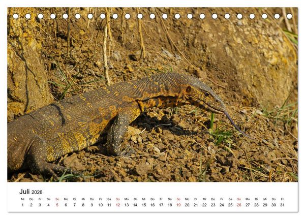 Produktbild: S&uuml;dafrika - Eine beeindruckende Tierwelt (Tischkalender 2026 DIN A5 quer), CALVENDO Monatskalender