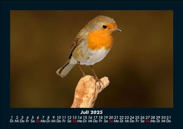 Produktbild: Vogelparadies 2025 Fotokalender DIN A5