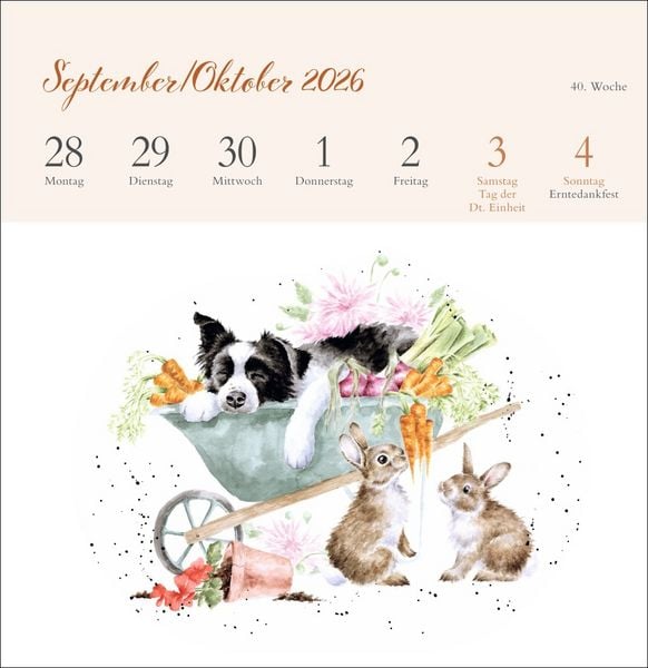 Produktbild: Hannah Dale: Happy Animals Premium-Postkartenkalender 2026