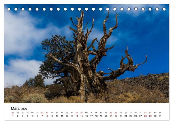 Produktbild: Naturparadiese zwischen Los Angeles und Las Vegas (Tischkalender 2026 DIN A5 quer), CALVENDO Monatskalender