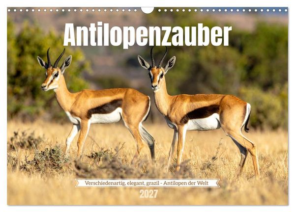 Produktbild: Antilopenzauber (Wandkalender 2027 DIN A3 quer), CALVENDO Monatskalender