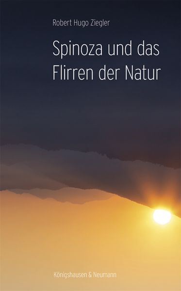 Produktbild: Spinoza und das Flirren der Natur
