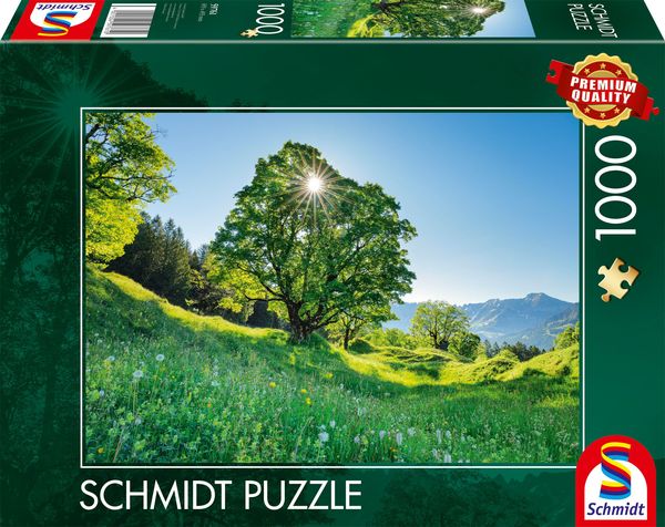 Produktbild: Berg-Ahorn im Sonnenlicht, St. Gallen, Schweiz