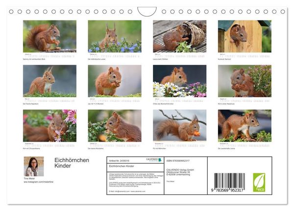 Produktbild: Eichh&ouml;rnchen Kinder (Wandkalender 2027 DIN A4 quer), CALVENDO Monatskalender