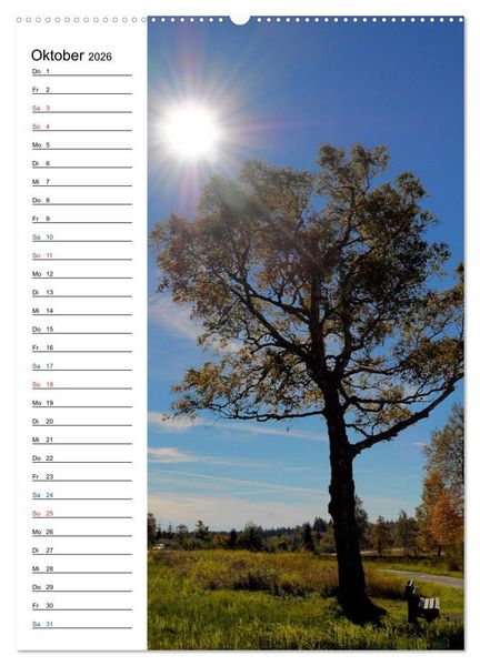 Produktbild: Schwarzwald (Wandkalender 2026 DIN A2 hoch), CALVENDO Monatskalender
