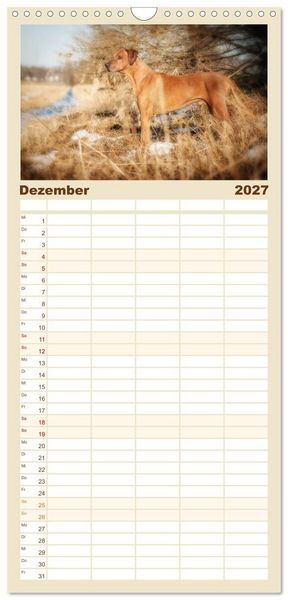 Produktbild: Familienplaner 2027 - Rhodesian Ridgeback - Herzen auf vier Pfoten mit 5 Spalten (Wandkalender, 21 x 45 cm) CALVENDO