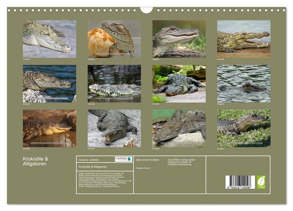 Produktbild: Krokodile & Alligatoren (Wandkalender 2026 DIN A3 quer), CALVENDO Monatskalender