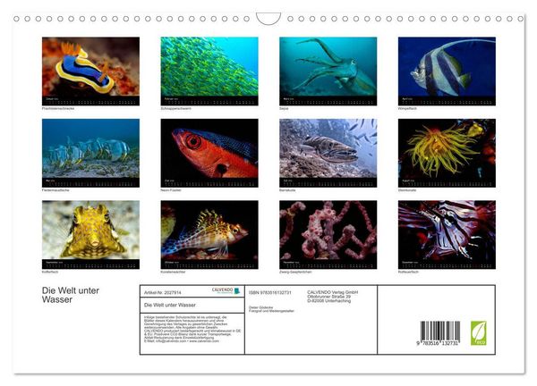 Produktbild: Die Welt unter Wasser (Wandkalender 2026 DIN A3 quer), CALVENDO Monatskalender