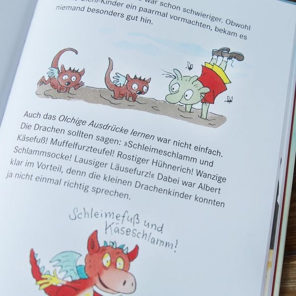 Produktbild: Die Olchis im Land der Drachen