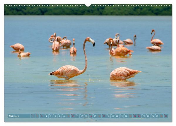 Produktbild: Geheimnisvolle Orte Yucat&aacute;n (hochwertiger Premium Wandkalender 2026 DIN A2 quer), Kunstdruck in Hochglanz