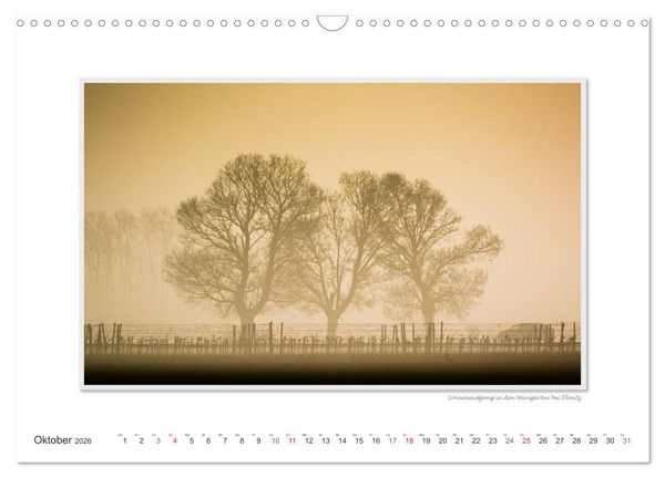 Produktbild: Neusiedler See / CH-Version (Wandkalender 2026 DIN A3 quer), CALVENDO Monatskalender