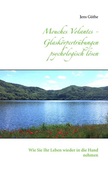 Produktbild: Mouches Volantes - Glask&ouml;rpertr&uuml;bungen psychologisch l&ouml;sen