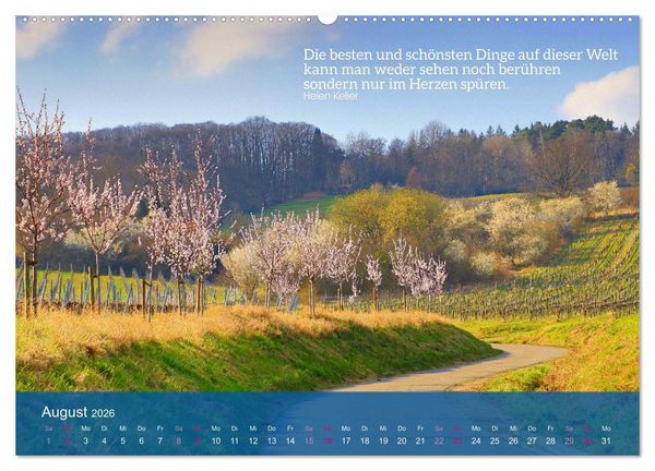 Produktbild: FASZINATION MANDELBL&Uuml;TE (hochwertiger Premium Wandkalender 2026 DIN A2 quer), Kunstdruck in Hochglanz