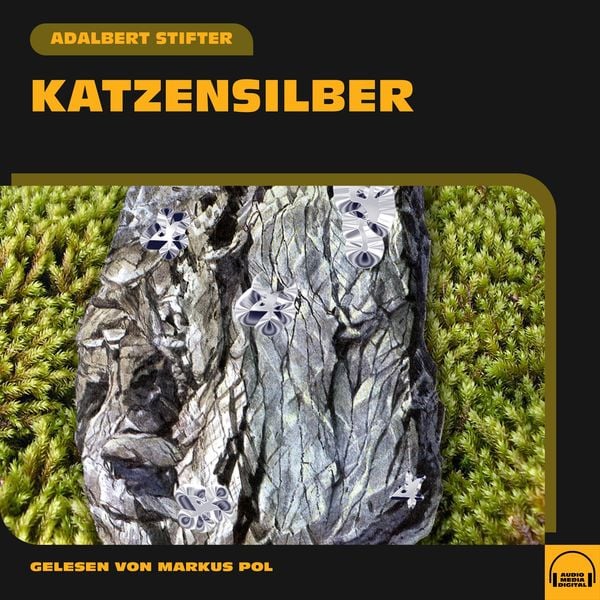Katzensilber - Adalbert Stifter, Audio, 9783991551768