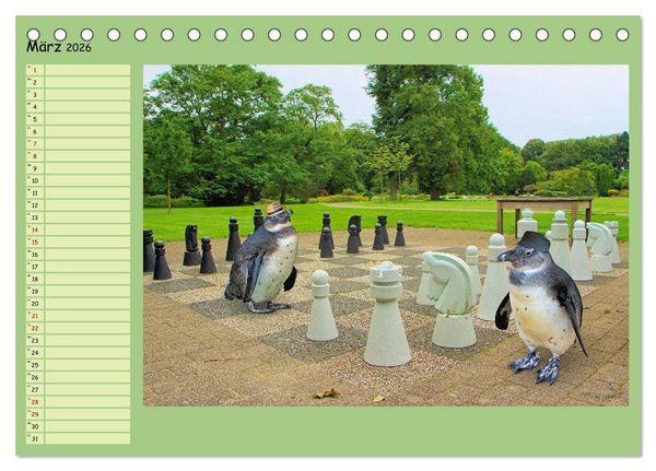 Produktbild: Pinguine privat Planer (Tischkalender 2026 DIN A5 quer), CALVENDO Monatskalender