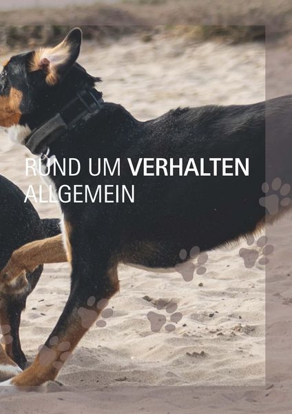 Produktbild: Ein Hund und 1000 Fragen