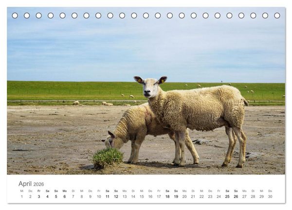 Produktbild: Nordfriesland - wundersch&ouml;ne Westk&uuml;ste (Tischkalender 2026 DIN A5 quer), CALVENDO Monatskalender